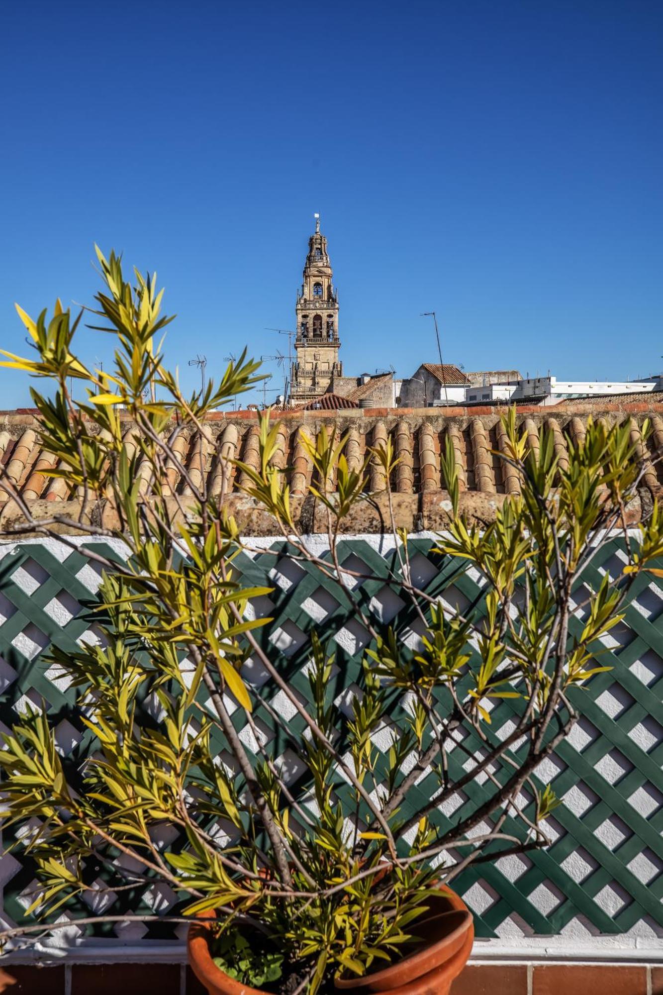Palacio Marques Vega Armijo & Parking Incluido Córdoba Exteriér fotografie